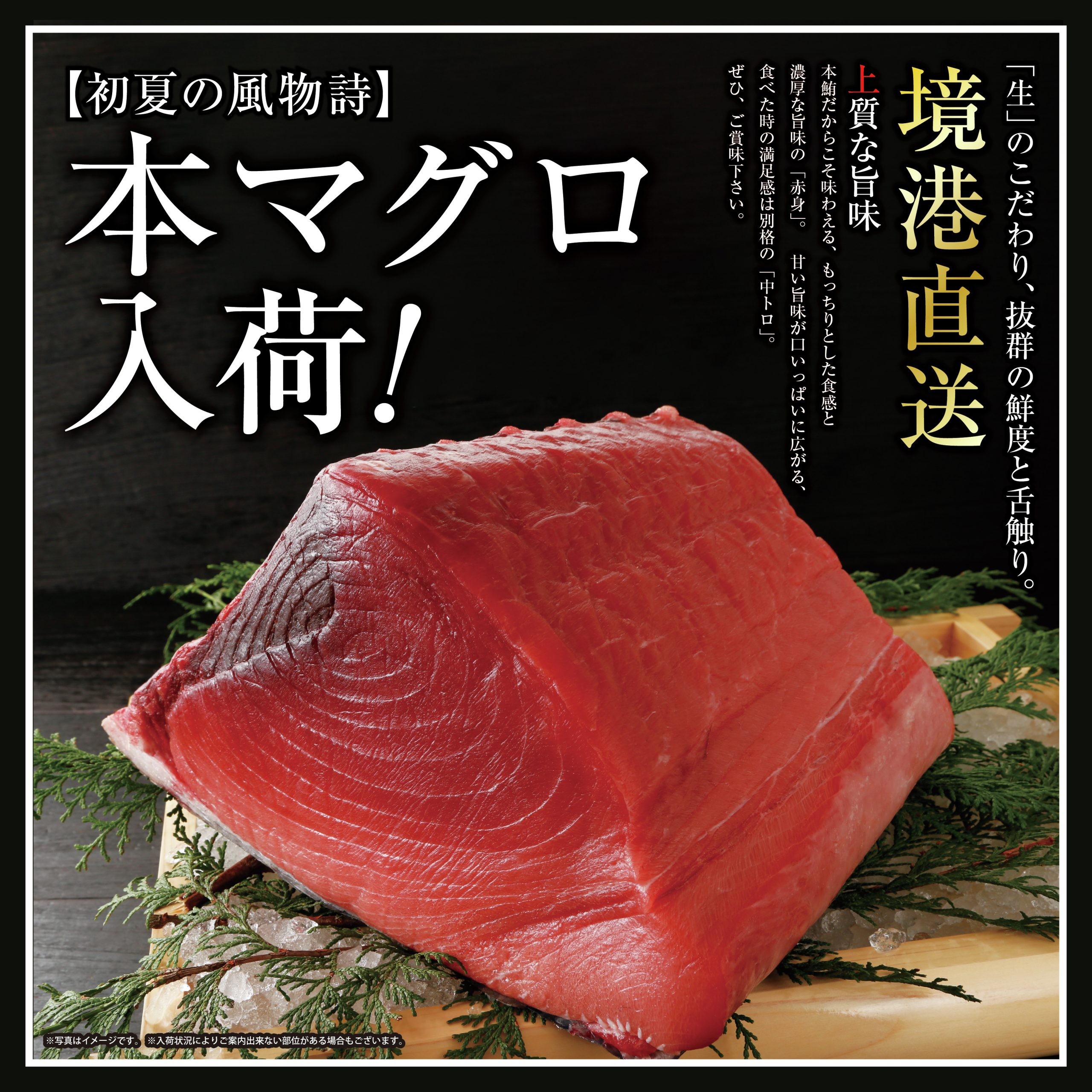 公式】 個室完備 海鮮居酒屋 魚鮮水産 鳥取末広温泉町店